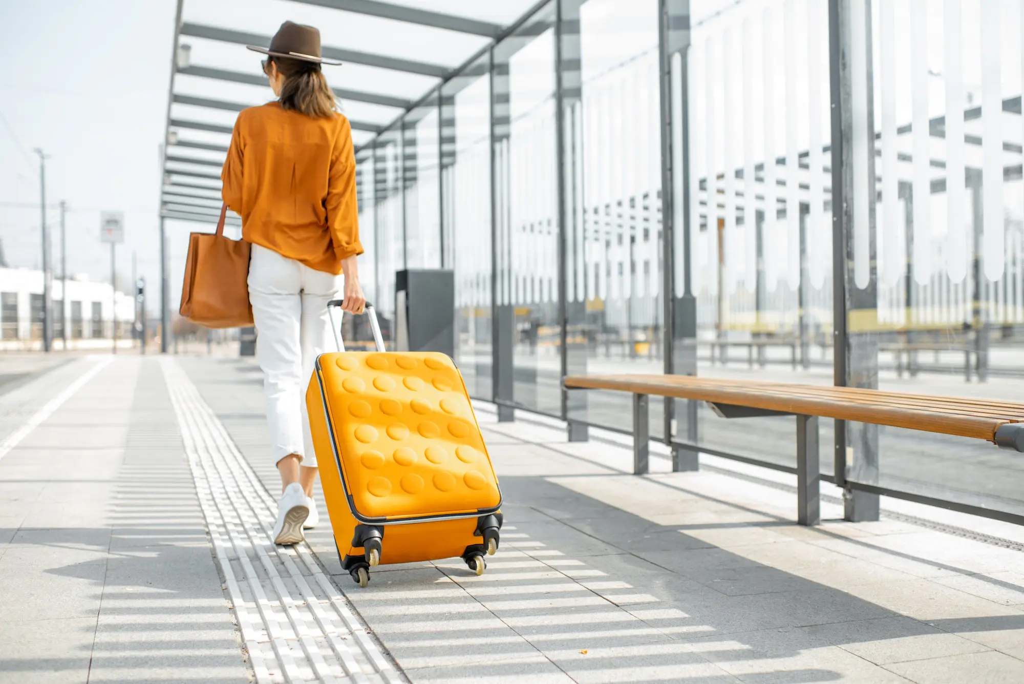 Challenges and Opportunities in the Premium Luggage Market