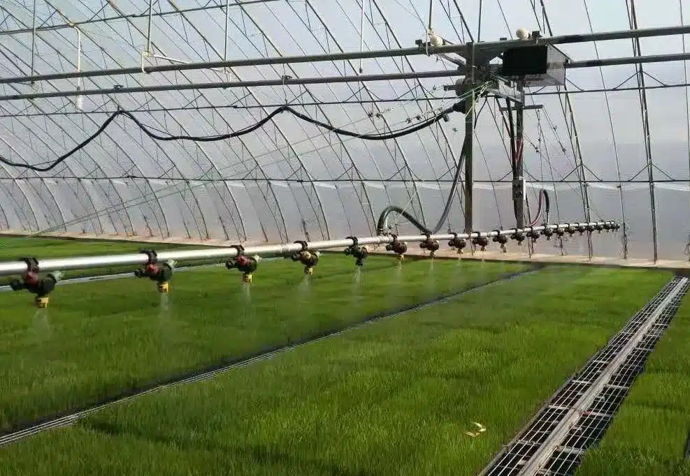 Technological Innovations in Smart Greenhouse Irrigation: A Game Changer for Agriculture