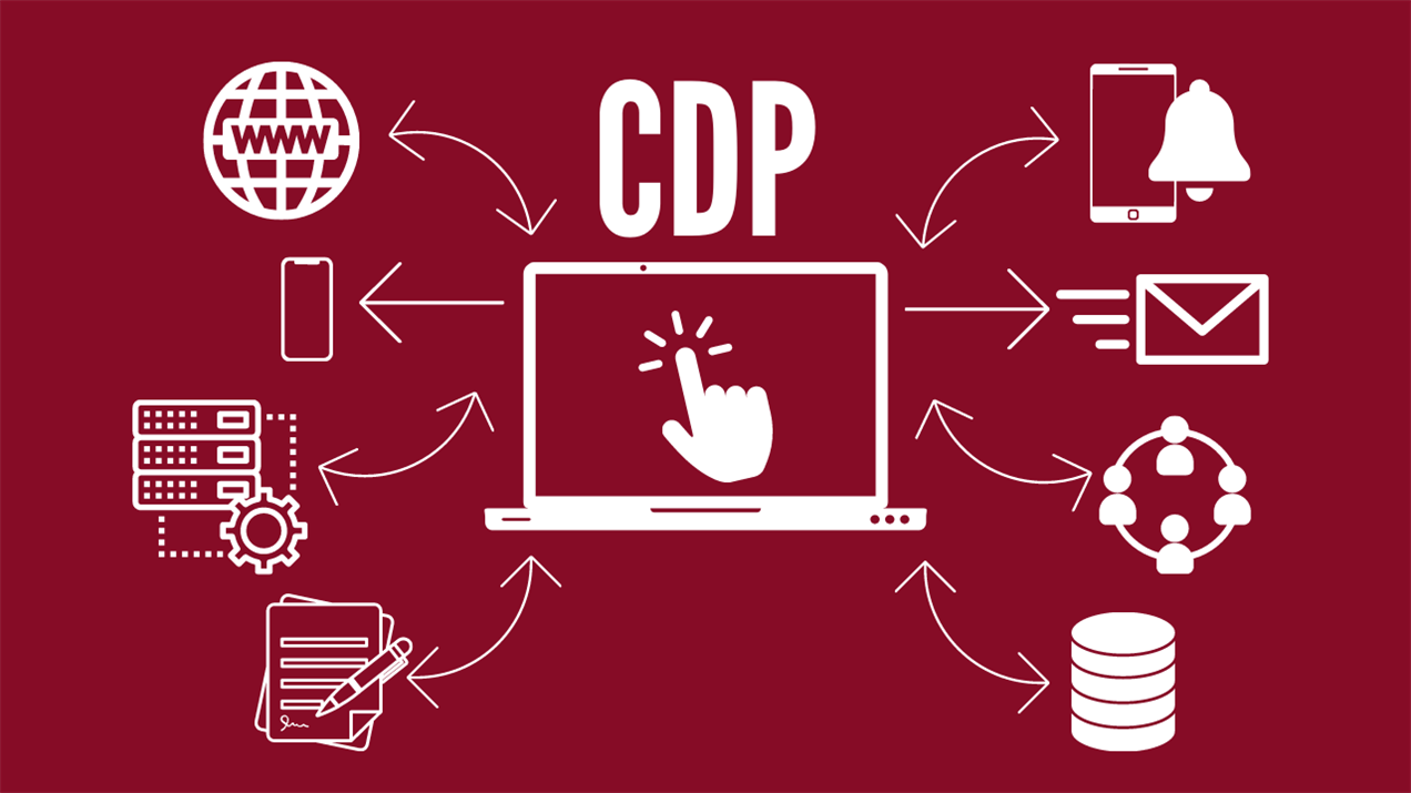 Customer Data Platforms (CDPs)