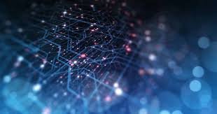 Data Privacy Management Software