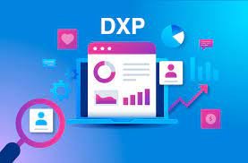 Digital Experience Platforms (DXP)