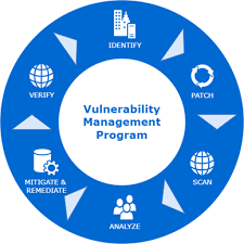 Vulnerability Management Software