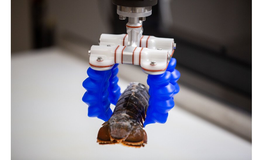 robotic gripper system market